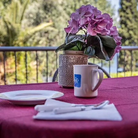 Al Lido Ξενοδοχείο με διαμερίσματα Brenzone sul Garda